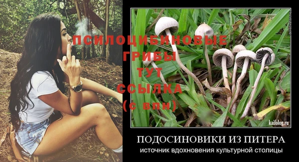 альфа пвп Гусь-Хрустальный