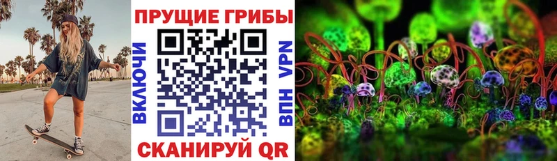 мега ONION  Магнитогорск  Псилоцибиновые грибы GOLDEN TEACHER  где найти наркотики 